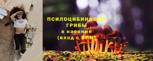 spice Бронницы