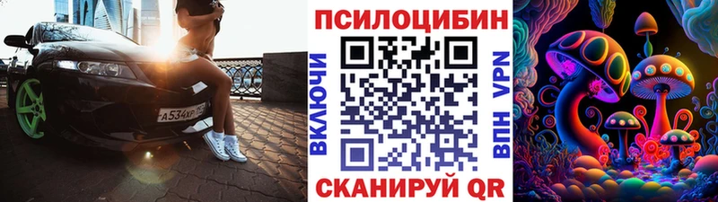 где найти Родники Галлюциногенные грибы Psilocybe