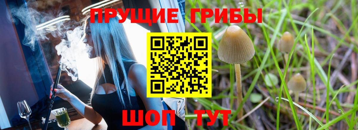 Псилоцибиновые грибы мицелий  Вход с VPN  Родники 